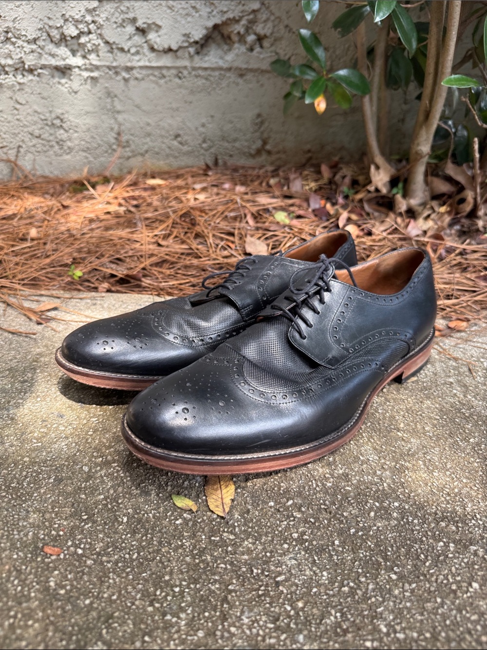 Johnston & Murphy Black Leather Wingtip Oxfords with Brown Sole